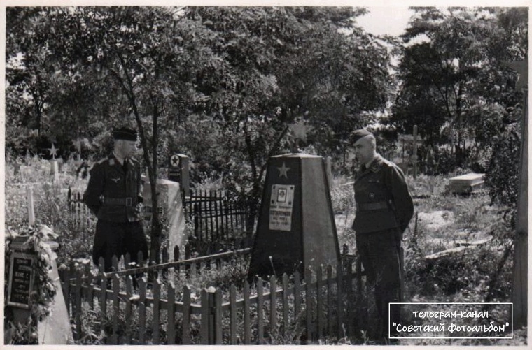 Фото из открытых источников