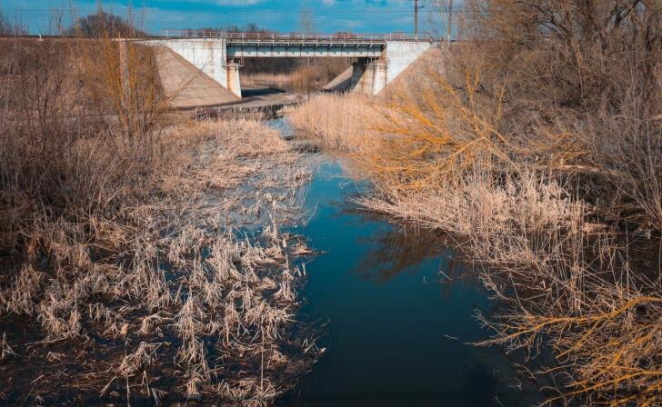   Юрий Еськов для Курских известий