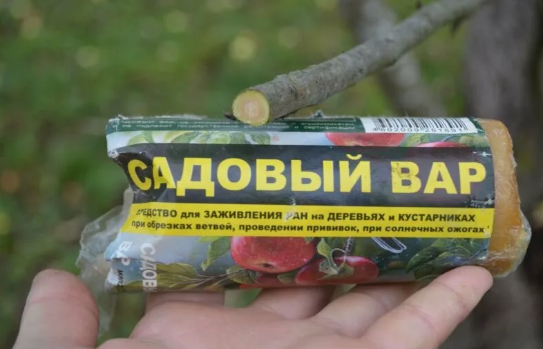 Садовый вар