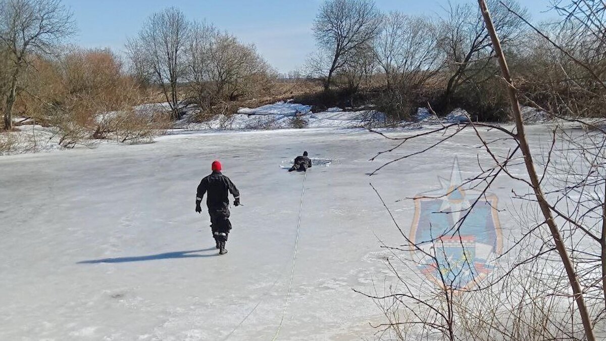    Фото: t.me/acclenobl