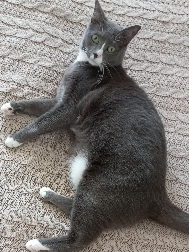 Ты ето кому сказала пошёл отсюда?! Сама пошёл отсюда 😾