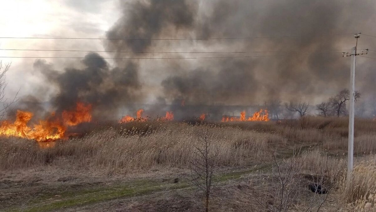     Источник: telegram-канал «Михайловка — ГО и ЧС»