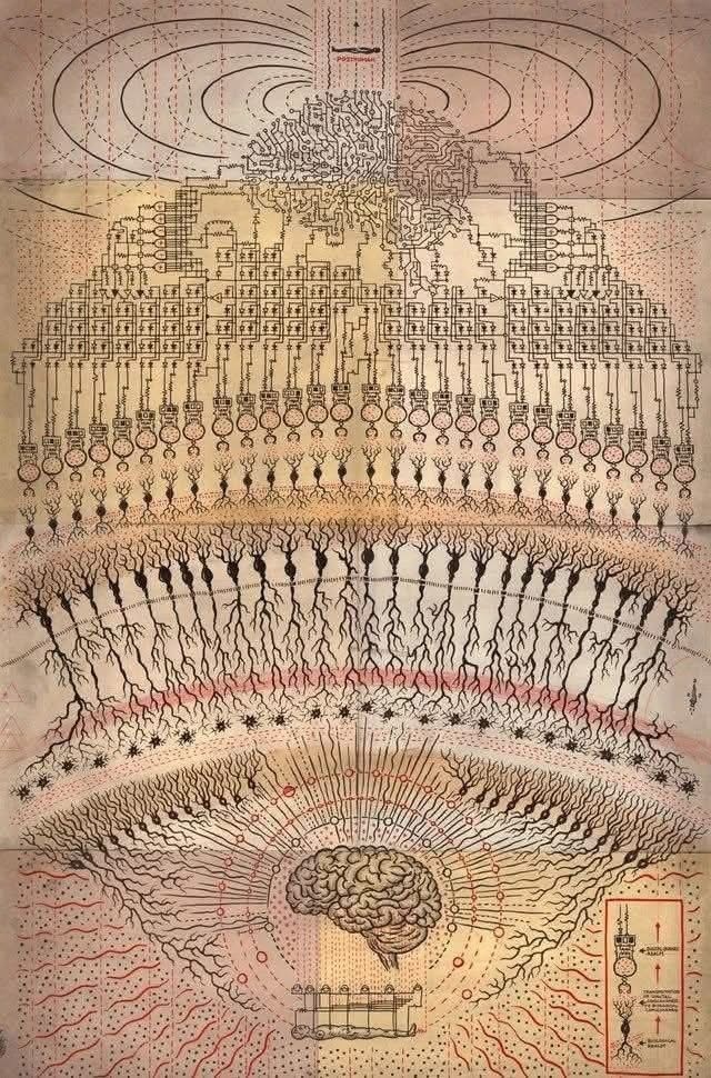 Психо-Био-Энергетическая структура: ключ к пониманию человека.