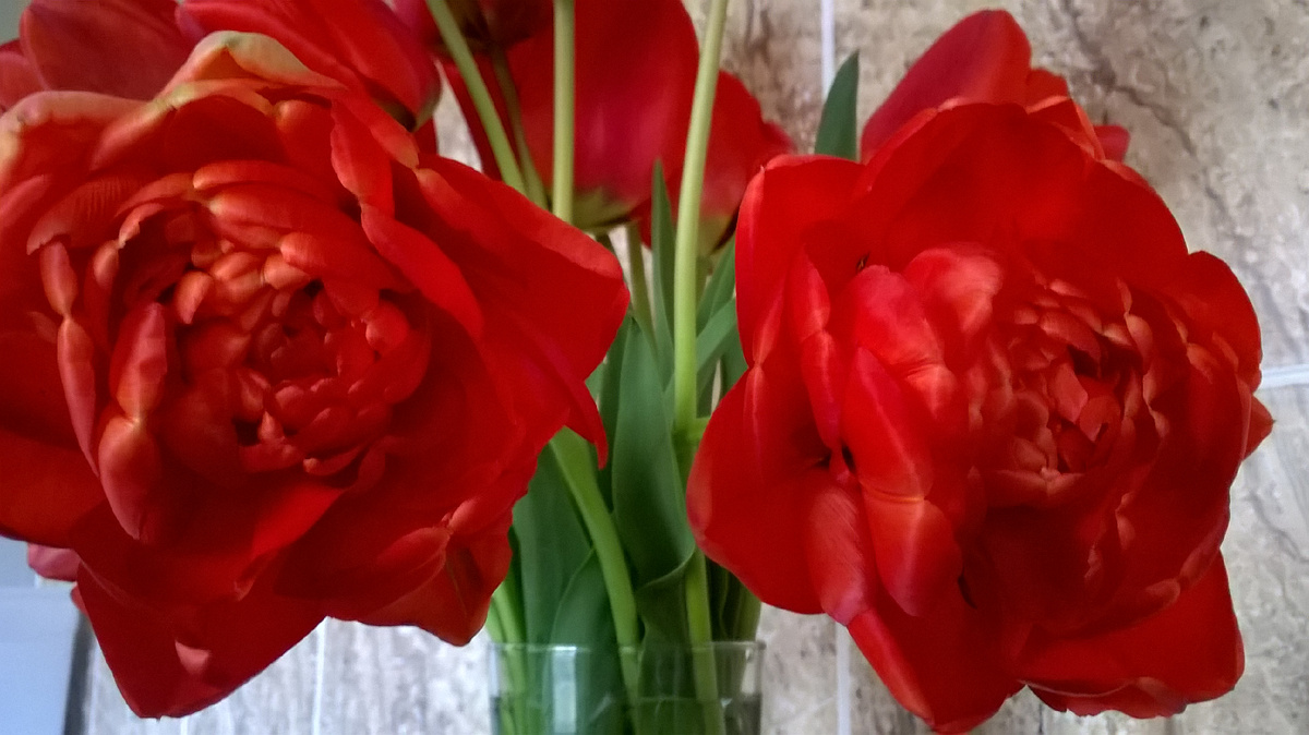 Просто весеннее фото