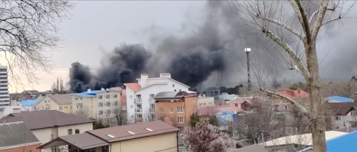 Фото: телеграм-канал «Маковозовы»