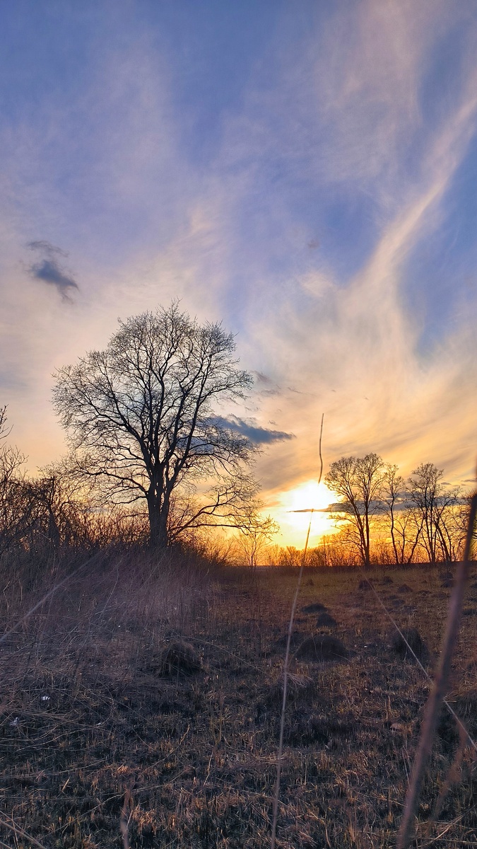 Солнышко встаёт, пригревает. 