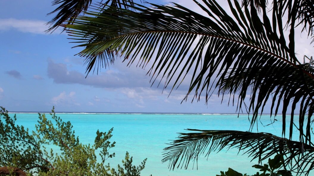    Максим Константинов/Globallookpress