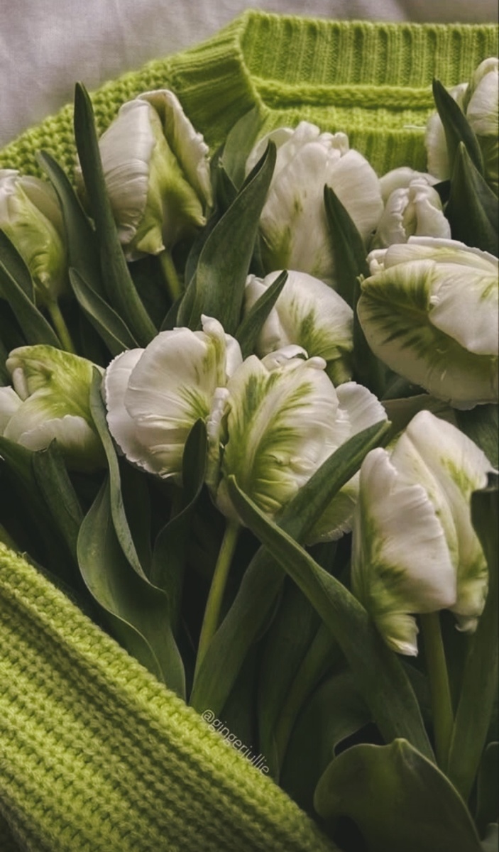 Изображение из интернета 