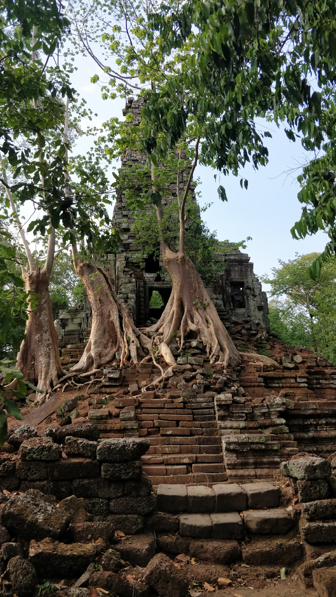 Комбоджа Сием Реап