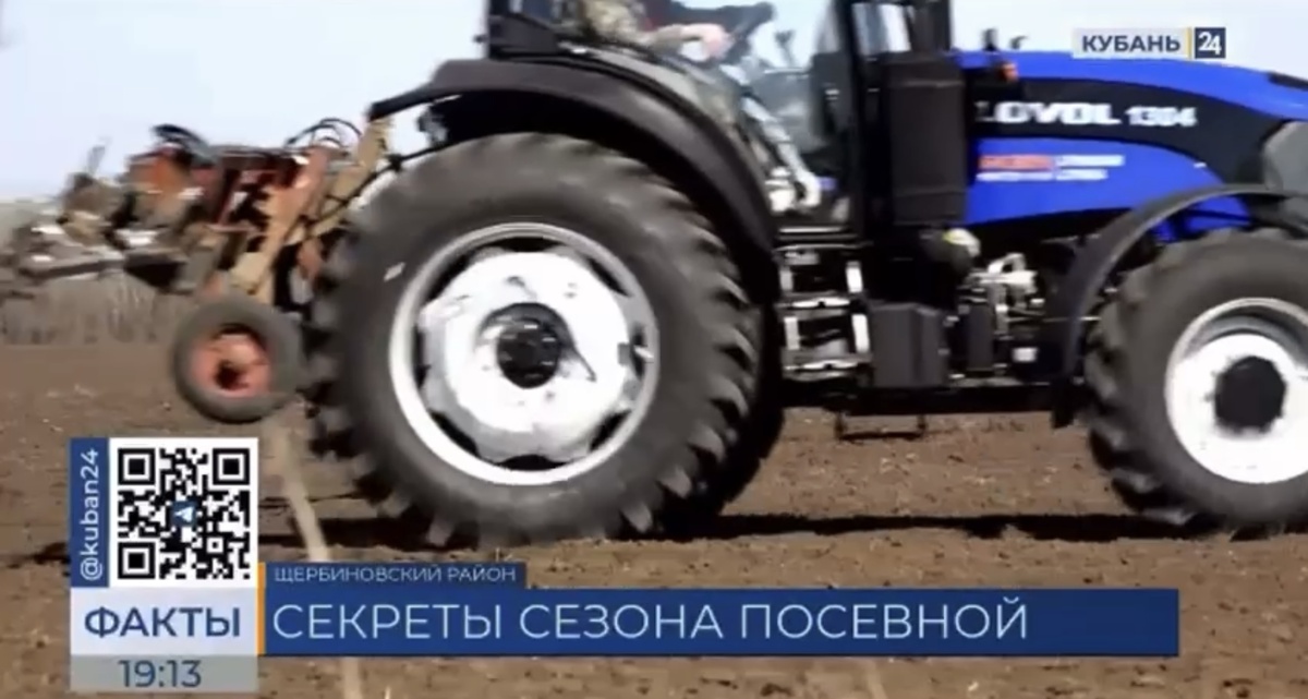 Фото: Кубань 24