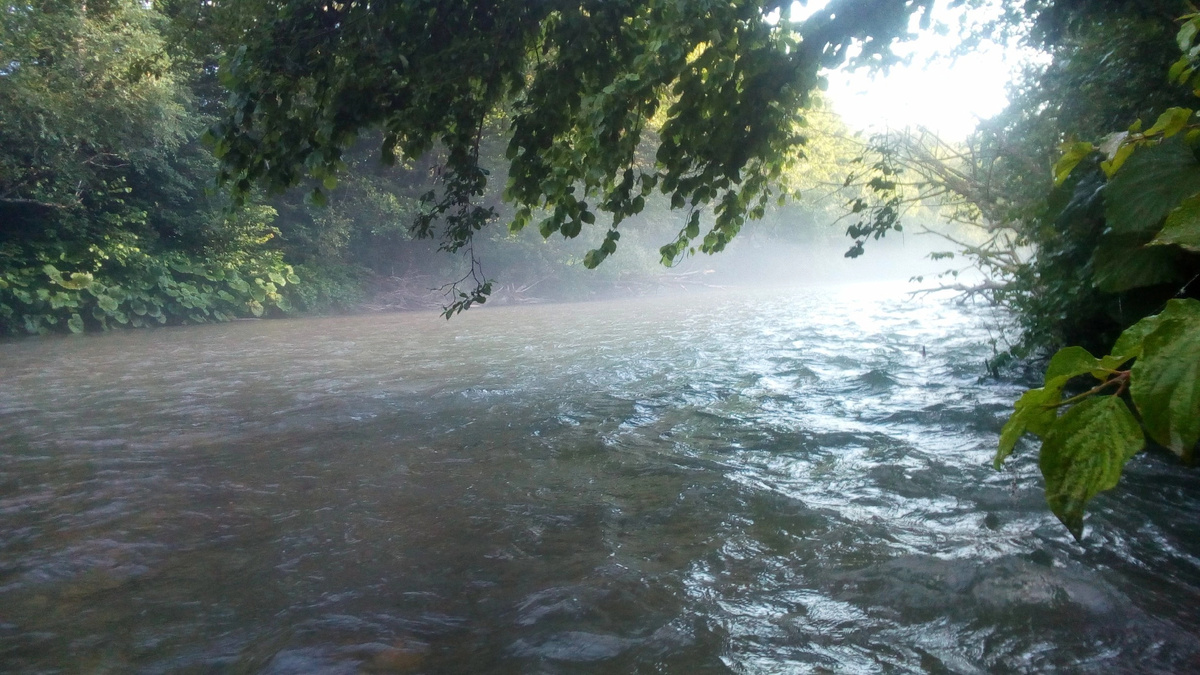 Речка и туман ранним утром