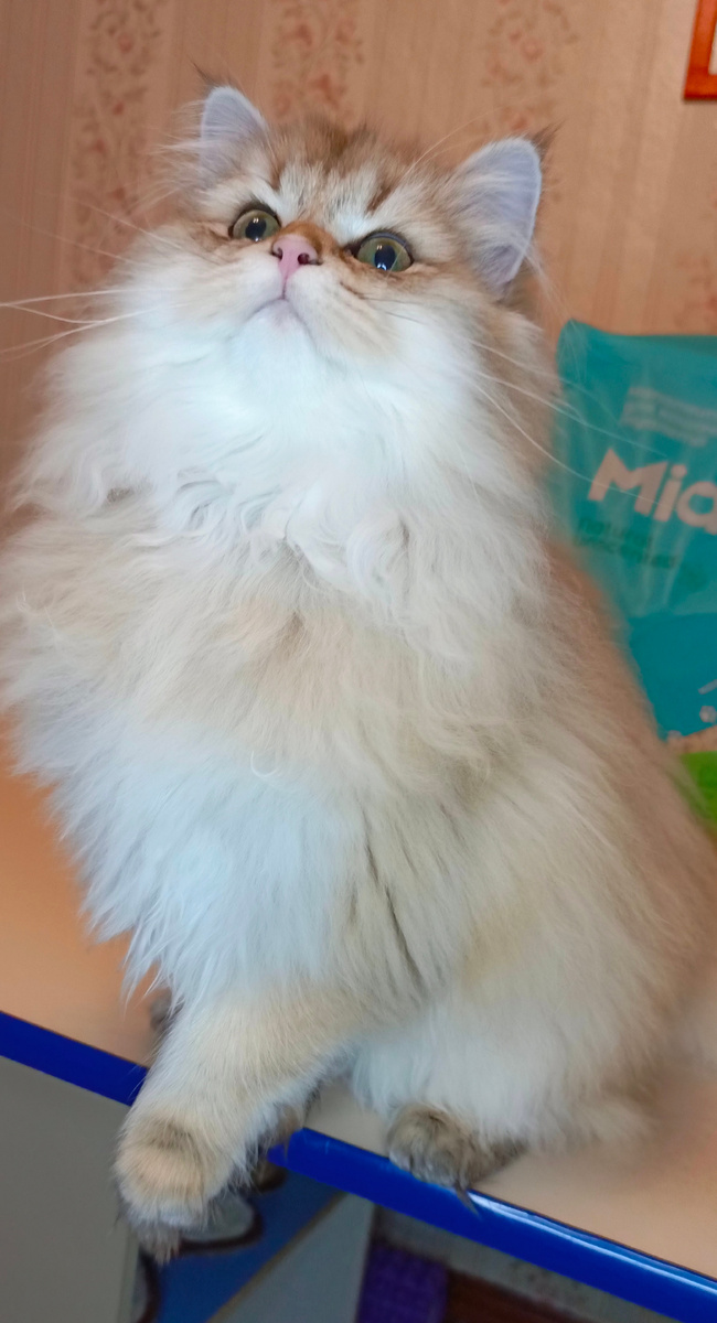 Фото из архива