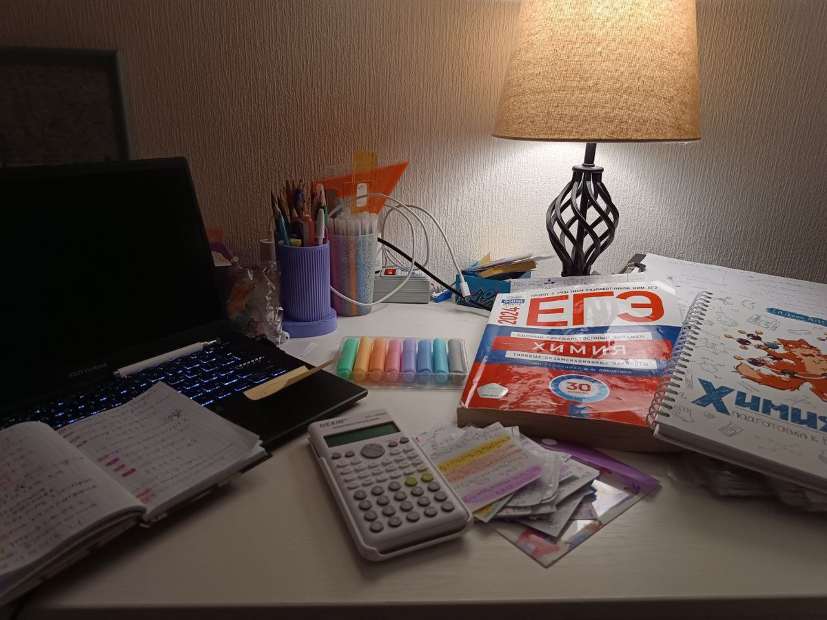 МОЙ ЕГЭШНЫЙ ХАОС, ИЛИ ЧТО-ТО ТИПО ХИМБИО ВАЙБ АХАХАХ