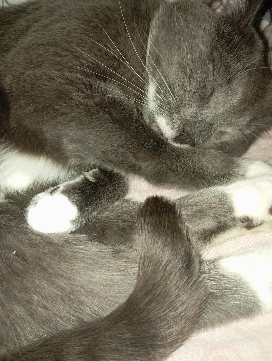 Личное фото автора канала