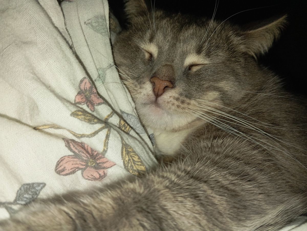 Личное фото автора канала