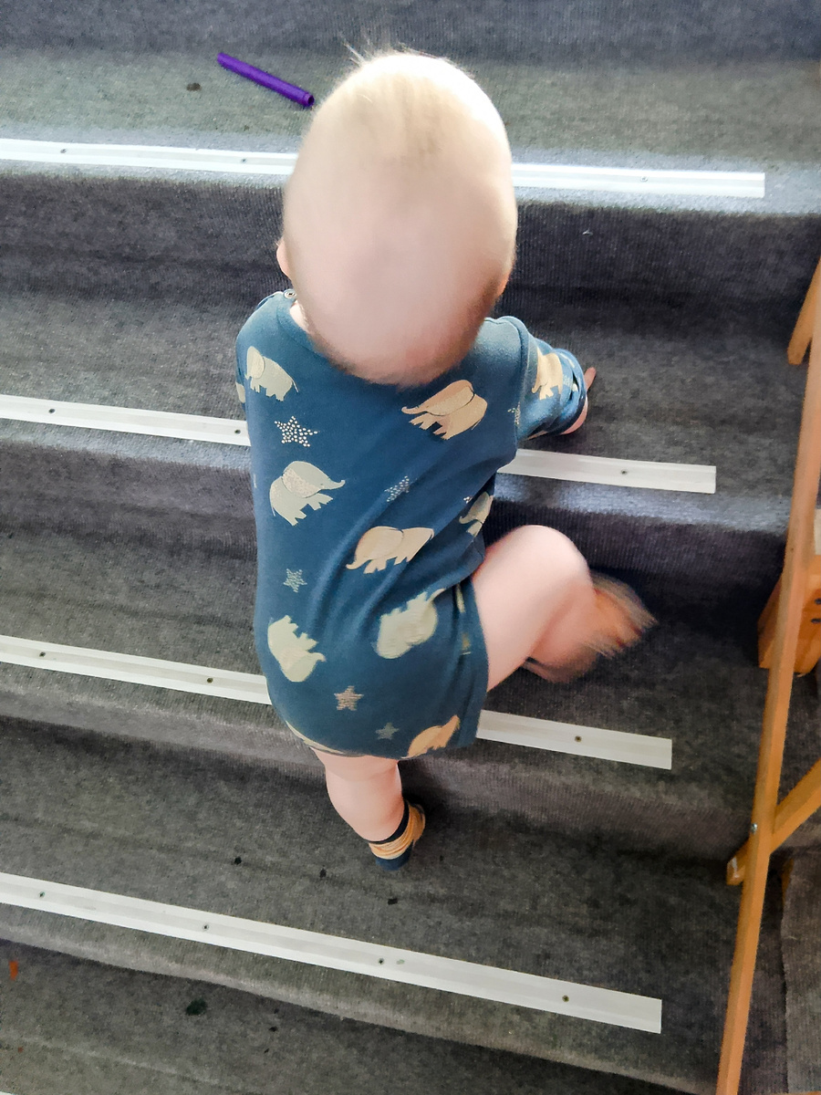 Путешественник