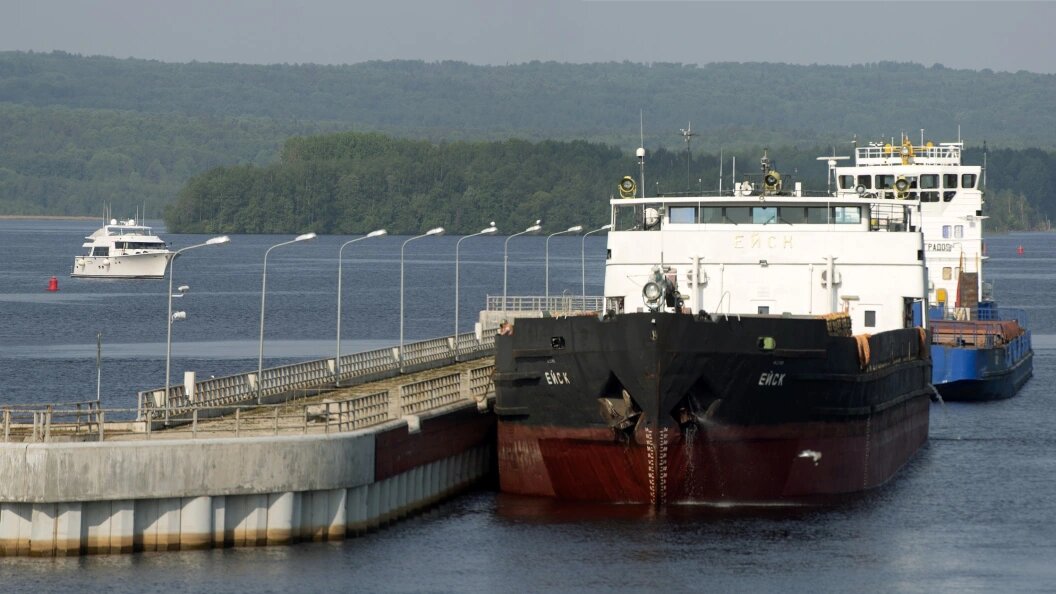    Nikolay Gyngazov/Global Look Press