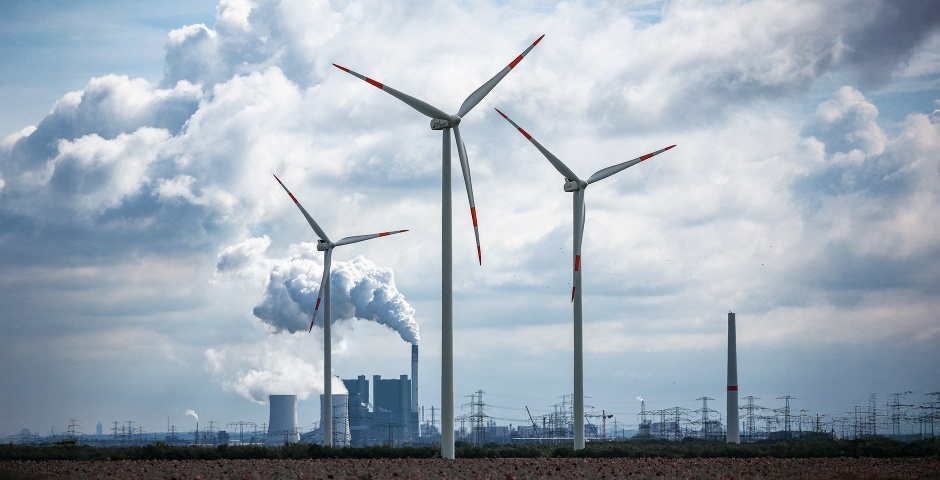 Фото: Jan Woitas/DPA/Picture-Alliance