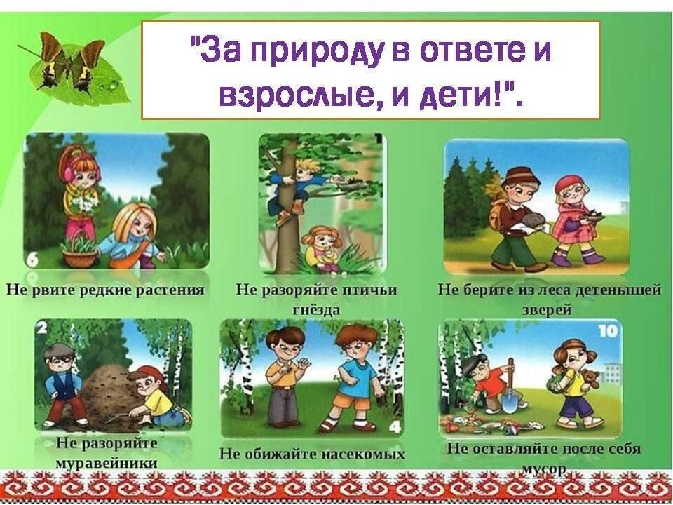 Правила поведения человека в лесу