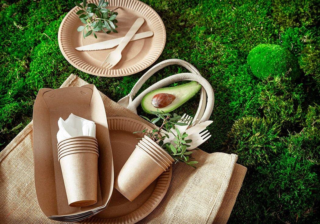 Источник изображения: https://www.artplast.ru/stati/eko-frendli-kak-odnorazovaya-posuda-sposobstvuet-sozdaniyu-ekologicheski-otvetstvenno