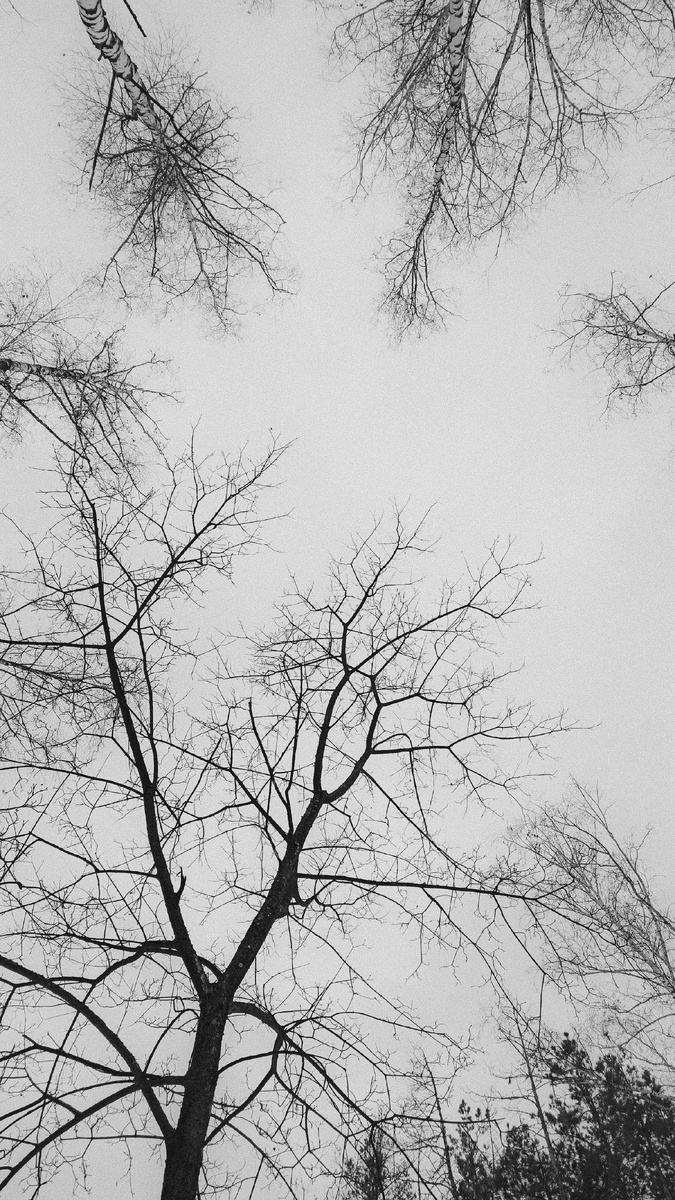 Чëрно-белая весна 2022-го.