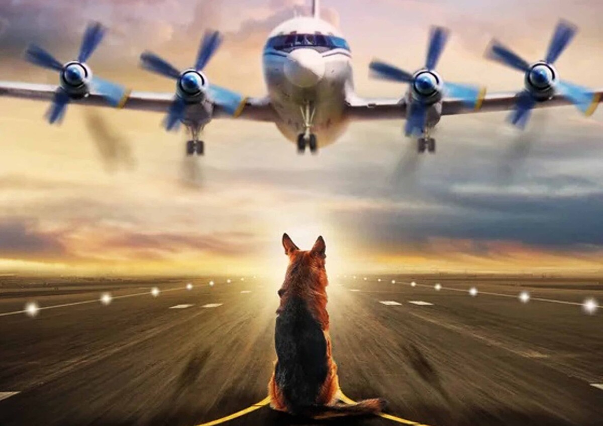 фильм "Пальма" (2020)