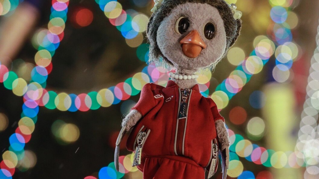    Фото: Bulkin Sergey/news.ru/Globallookpress