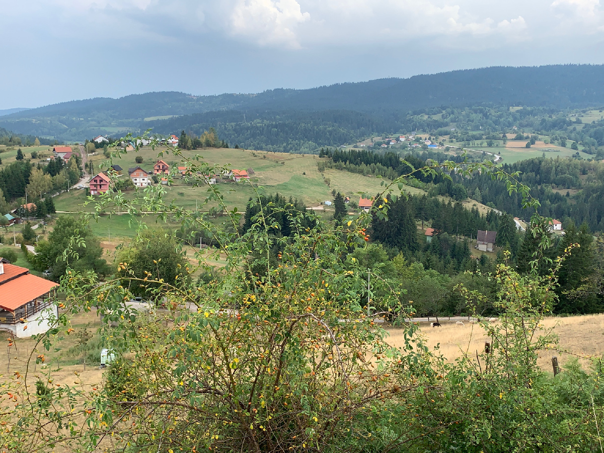 Сербия, гора Златар😍 Личное фото автора