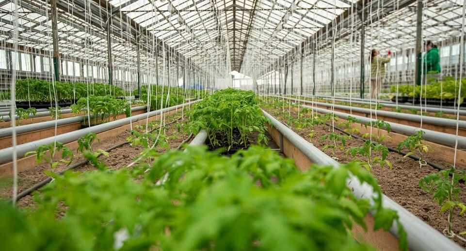    фото: Медиасток.РФ