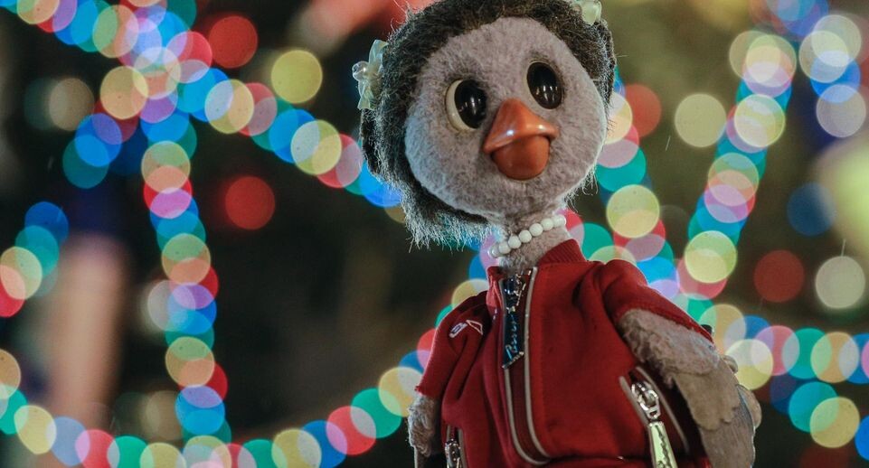    Bulkin Sergey/news.ru / www.globallookpress.com