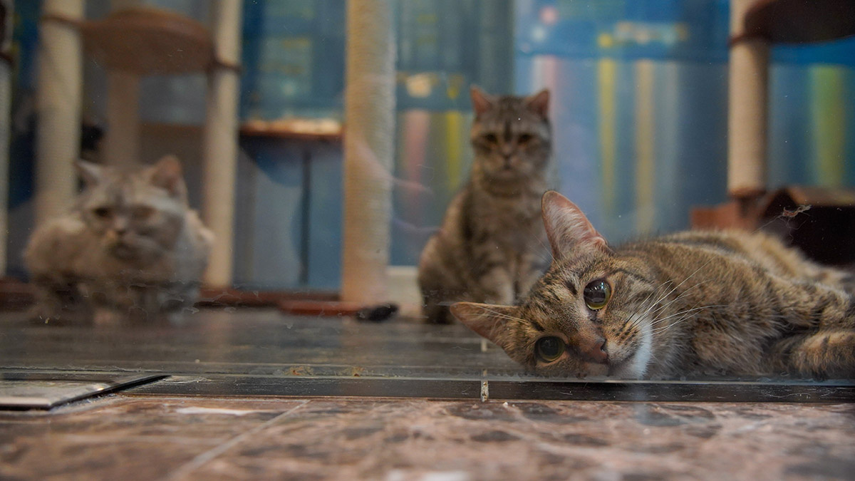    Фото: vm.ru Георгий