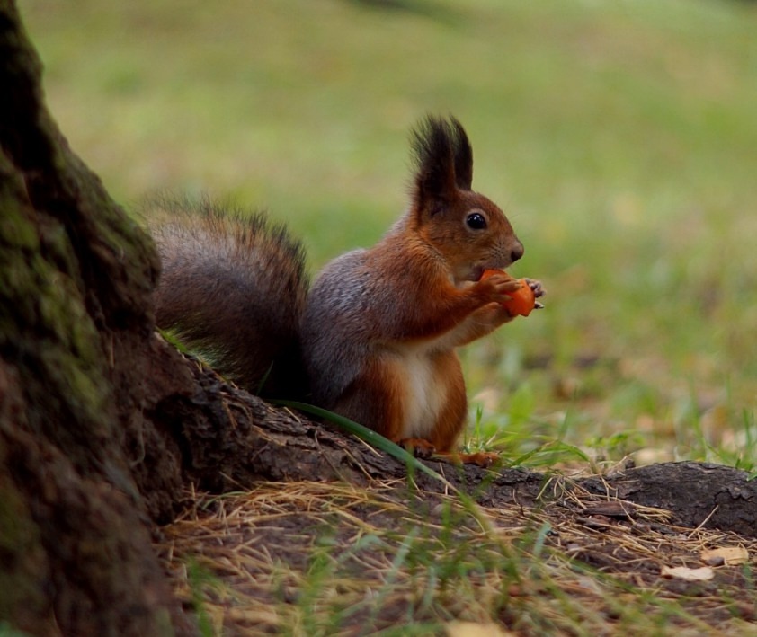 Все фото авторские. 