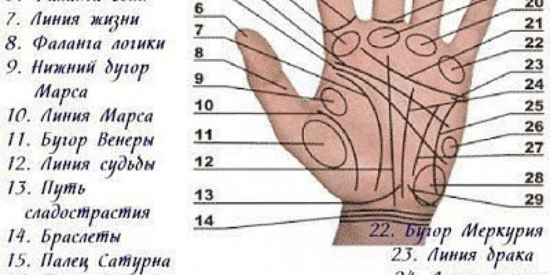 Хиромантия - лженаука? А кто проверял?
