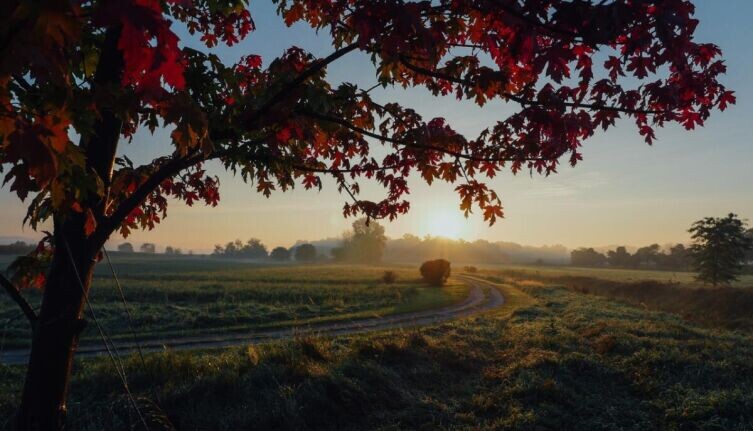     Фото: по лицензии CC0 Pxhere.com