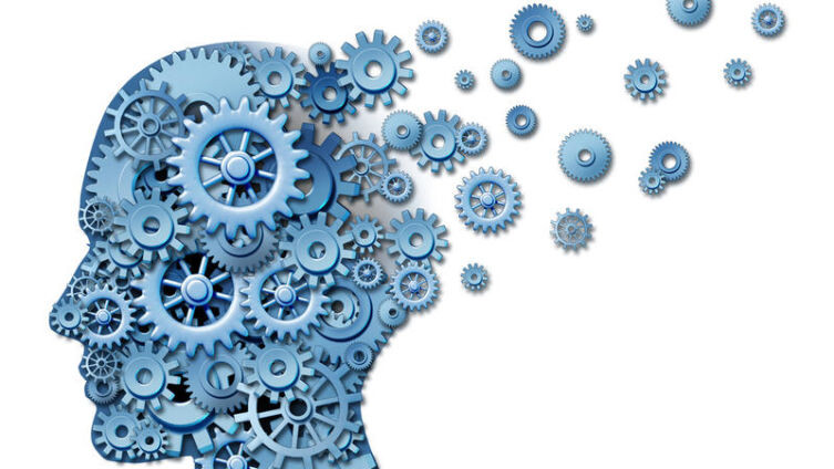     Lightspring Shutterstock.com