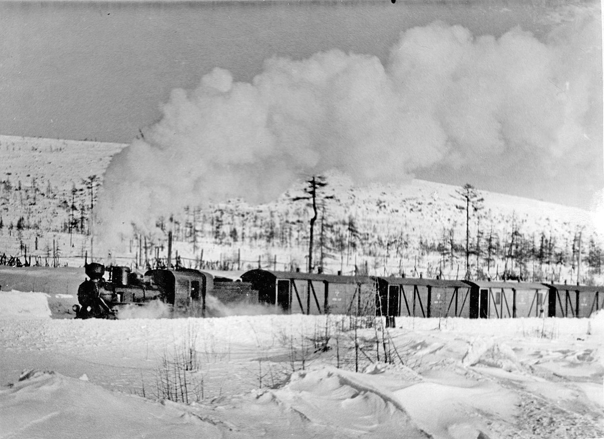 Фото: 1955 год.