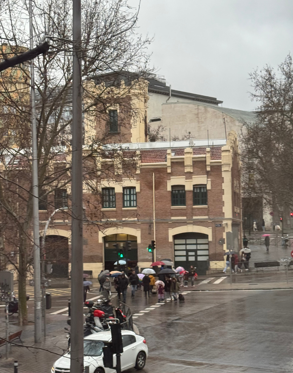 фото Сад в стиле Paradise ®