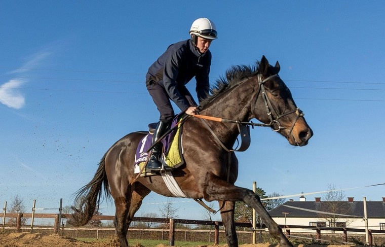    INPHO/IMAGO/Morgan Treacy/ТАСС