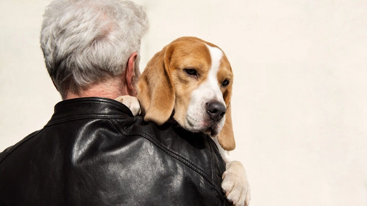     Источник: freepik.com