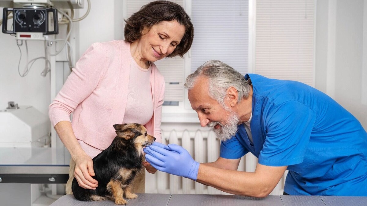     Источник: freepik.com