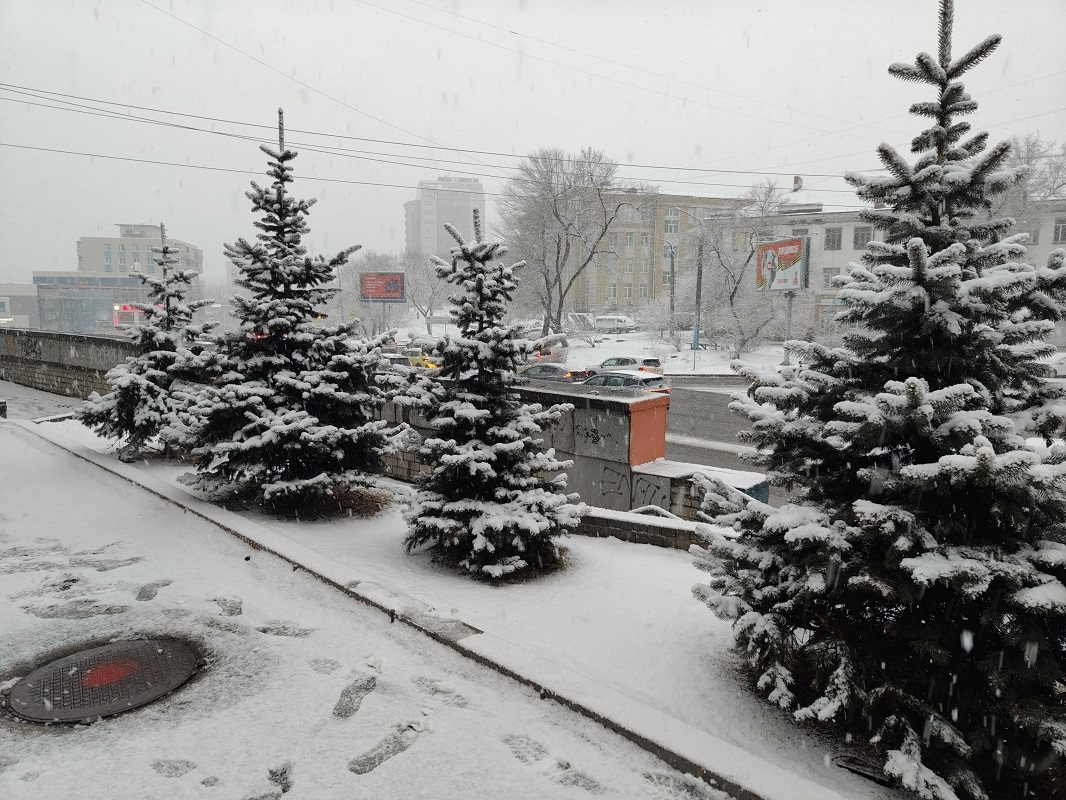 Из-за снегопада во Владивостоке выросли цены на такси.  Фото: Фото: ФедералПресс / Анна Миронова