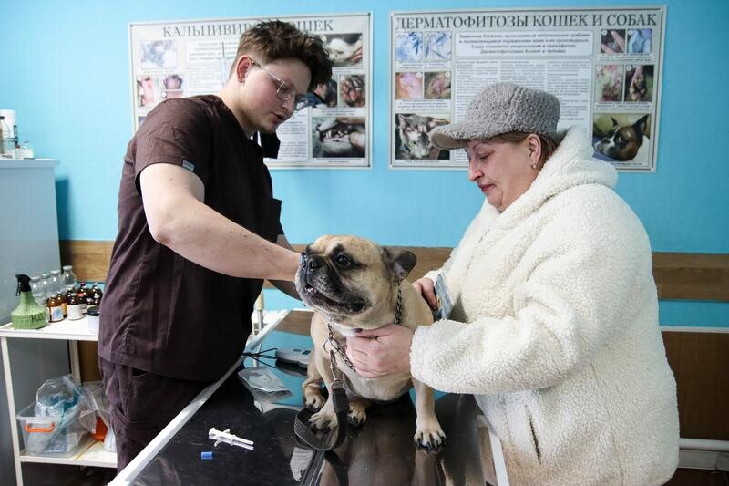 Листайте вправо, чтобы увидеть больше изображений