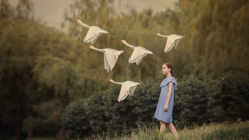     Гуси лебеди