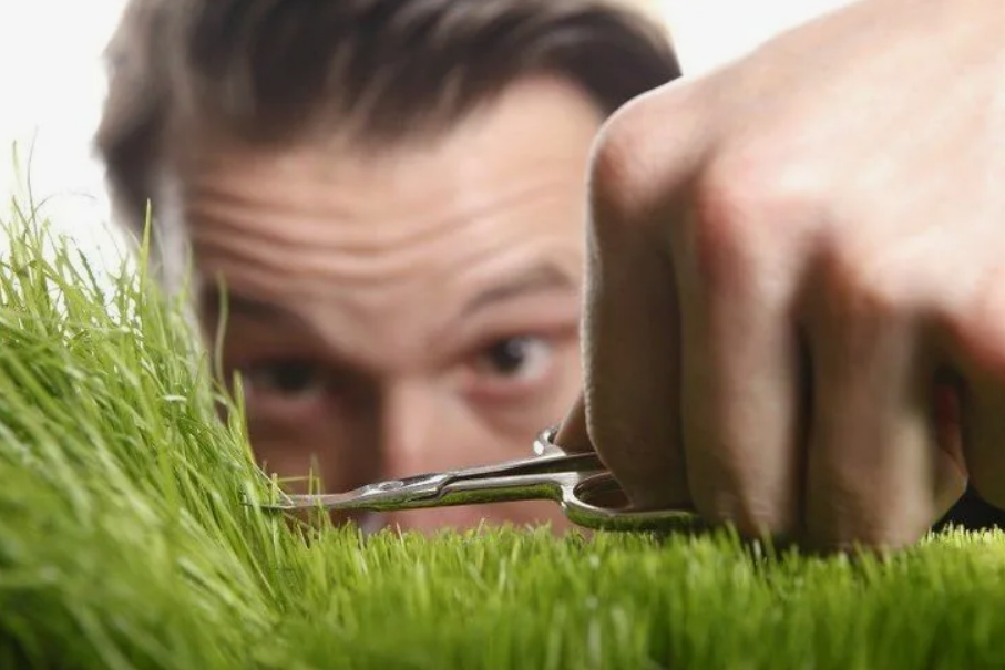 Всё должно быть идеальным! И трава тоже должна быть идеальной!