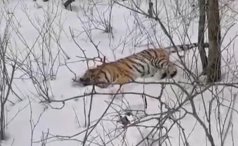    Источник фото: