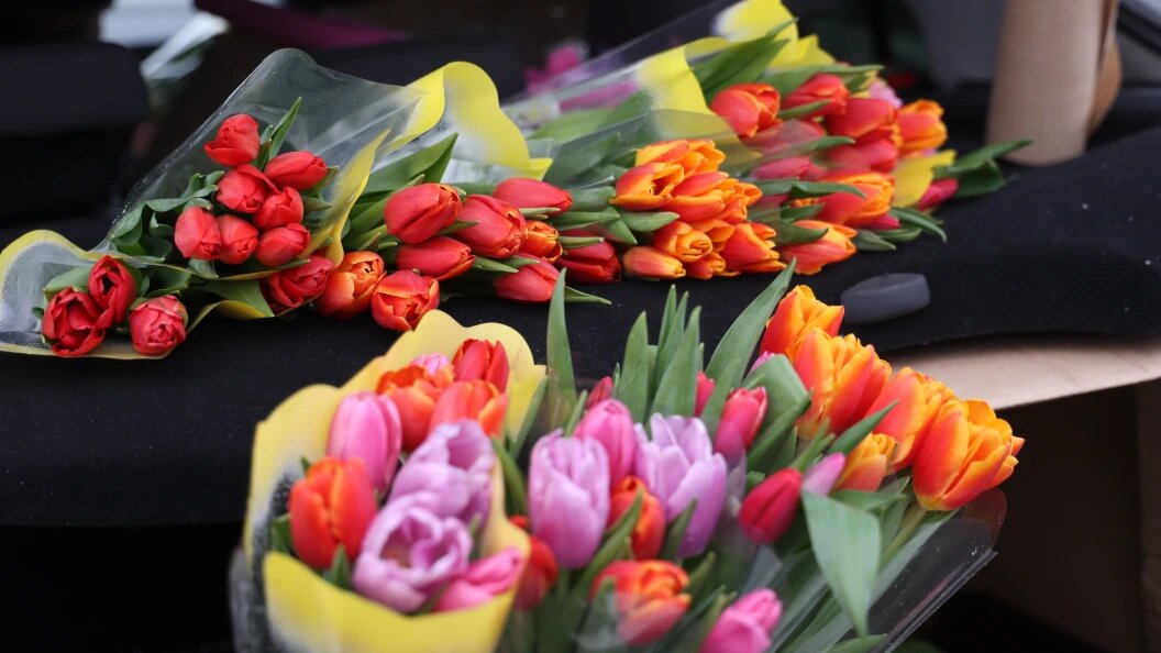    Фото: Andrey Titov/Business Online/Globallookpress