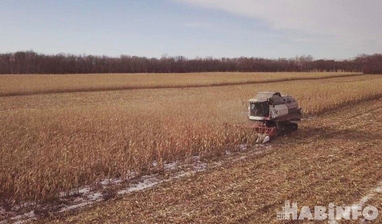    Фото: Мария Полякова