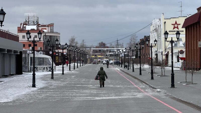     Пешеходная зона на ул. Мало-Тобольской в марте Федор Позников