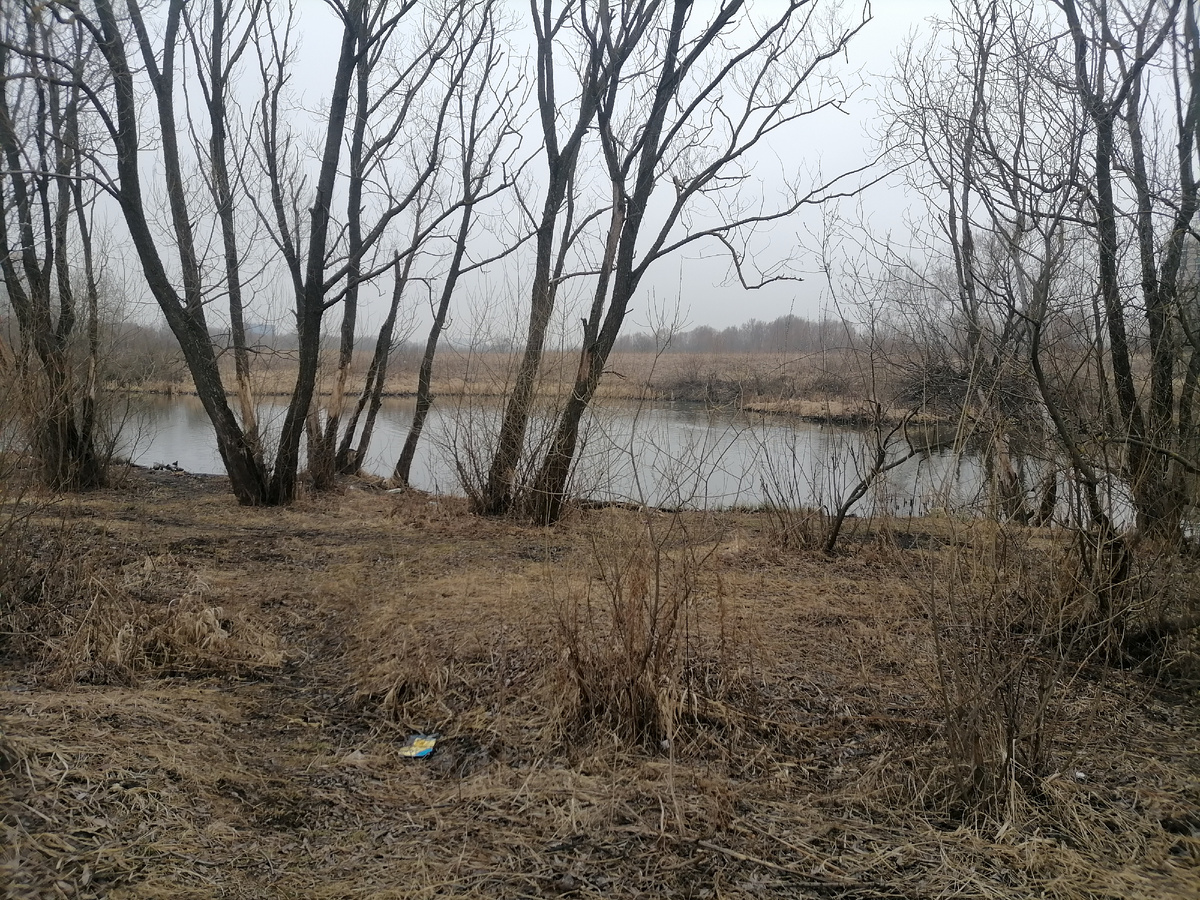 На прогулке