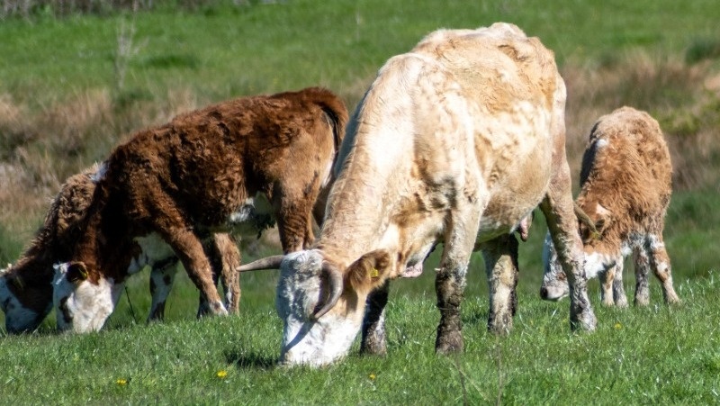 Фото: @EyeEm / freepik.com